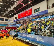 西班牙网球队血洗意大利网球队,费德勒制霸全场的简单介绍 西班牙网球队血洗意大利网球队,费德勒制霸全场的简单介绍